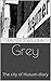 Grey: The city of Husum diary