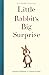 Little Rabbit's Big Surprise