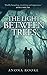 The Light Between Trees