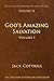 God's Amazing Salvation: Vo...