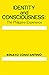 Identity and Consciousness by Renato Constantino