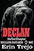 Declan (Soulless Bastards Mc No Cal Chapter, #1)
