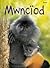 Mwnciod (Cyfres Dechrau Da) (English and Welsh Edition)