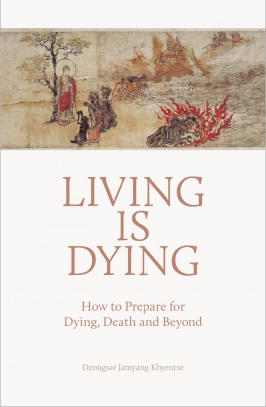 Living is Dying: How to Prepare for Dying, Death and Beyond (ebook)