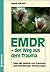EMDR, der Weg aus dem Trauma