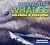Discovering Whales, Dolphins  Porpoises