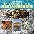 Introducing Metamorphism (Introducing Earth and Environmental Sciences)