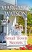 Small-Town Secrets (Door County, #1)