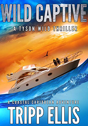 Wild Captive (Tyson Wild Thriller, #6)