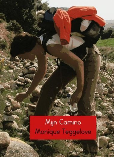 Mijn camino (ebook)