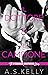 Il dottore e il campione (O'Connor Brothers #6)