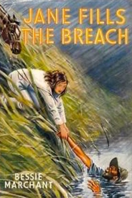 Jane Fills the Breach (Hardcover)