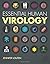 Essential Human Virology by Jennifer Louten
