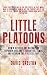 Little Platoons: How a revived One Nation can empower England’s forgotten towns and redraw the political map