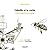 L'abeille et la ruche: Manuel d'apiculture écologique