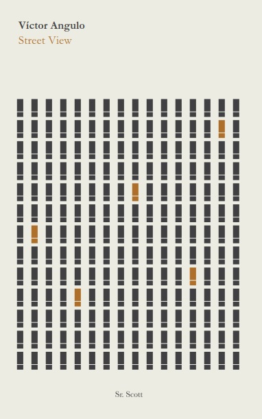 Street View (Paperback)