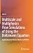 Multiscale and Multiphysics...