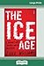 The Ice Age: A Journey into crystal-meth addiction (16pt Large Print Edition)