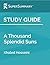 Study Guide: A Thousand Splendid Suns by Khaled Hosseini (SuperSummary)