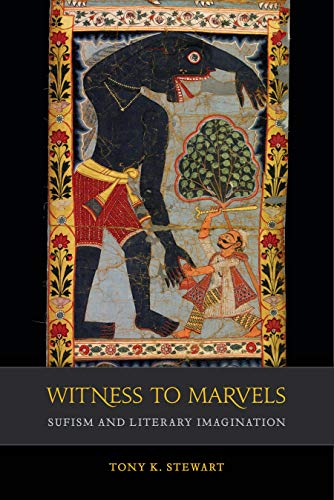Witness to Marvels: Sufism and Literary Imagination (Islamic Humanities Book 2)