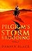 Pilgrim's Storm Brooding Vo...