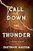 Call Down the Thunder: A Crime Novel