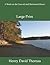 A Week on the Concord and Merrimack Rivers