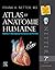 Atlas d'anatomie humaine by Frank H. Netter