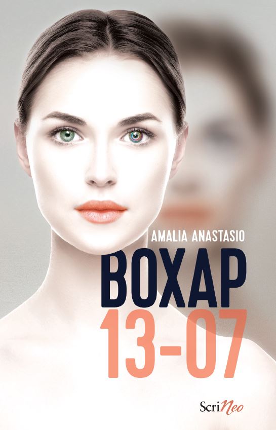 Boxap 13-07 (Paperback)