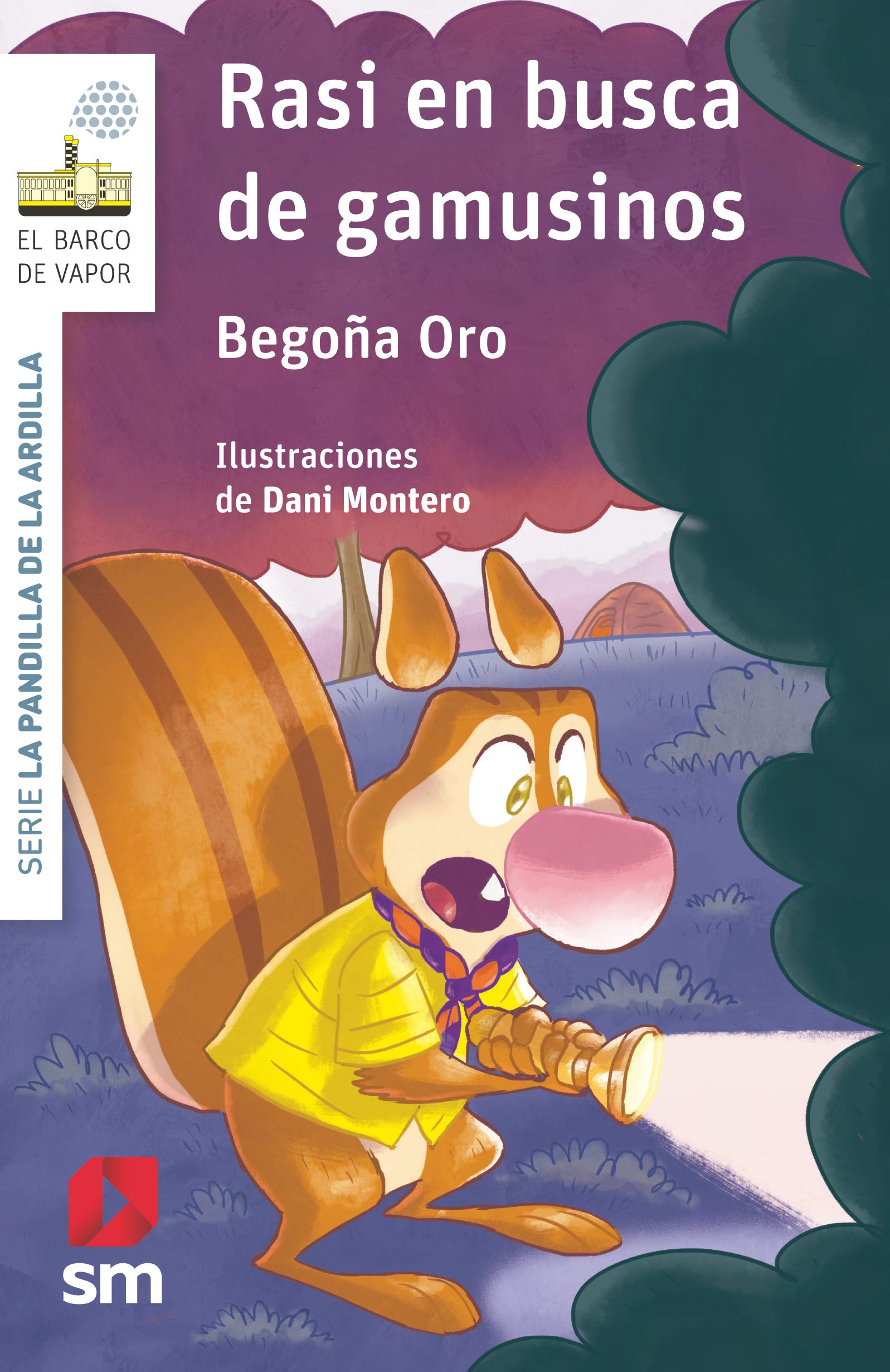 Rasi en busca de gamusinos (Paperback)