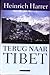 Terug naar Tibet
