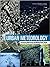 Urban Meteorology: Forecasting, Monitoring, and Meeting Users' Needs