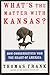 What's the Matter with Kansas