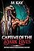 Captive of the Dark Elves