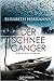 Der Schneegänger (Sanela Beara, #2)