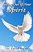 Living Out of Your Spirit