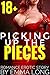 Picking up the Pieces 18+: