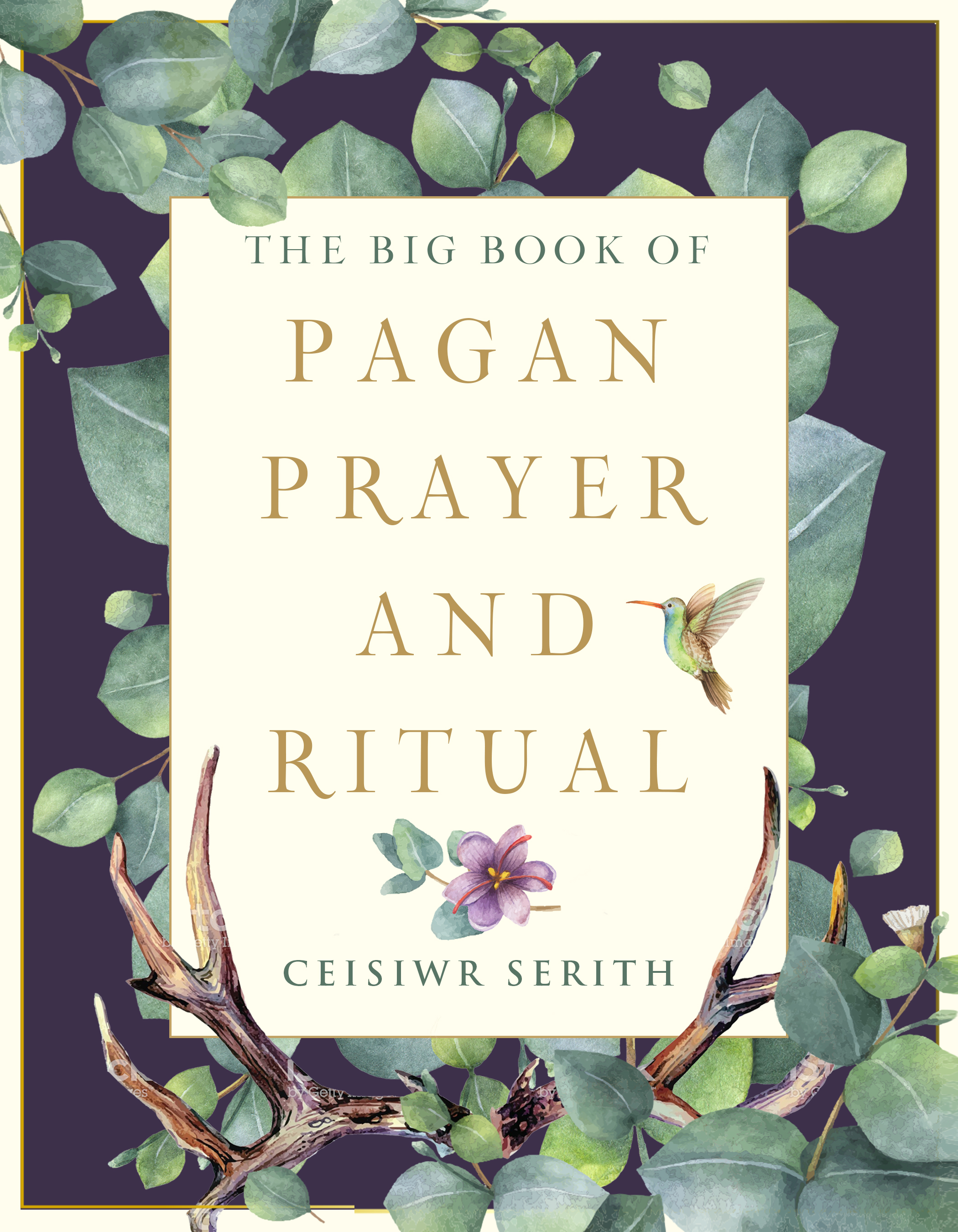 The Big Book of Pagan Prayer and Ritual (Paperback)