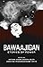 Bawaajigan: Stories of Powe...