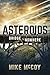 Asteroids by Michael McCoy