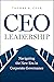 CEO Leadership: Navigating ...