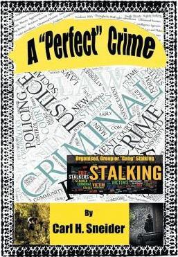 A "Perfect" Crime (Paperback)