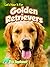 Let's Hear It For Golden Retrievers (Dog Applause)