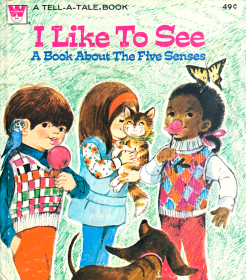 I Like to See: A Book about the Five Senses