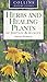 Herbs and Healing Plants of Britain & Europe by Dieter Podlech Herbs and Healing Plants of Britain & Europe by Dieter Podlech