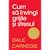 Cum să învingi grijile și stresul by Dale Carnegie
