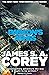 Babylon's Ashes (The Expanse, #6)