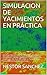Simulacion de yacimientos en práctica: (incluye desarrollo de modelos estático y dinámico, cotejo histórico y predicciones, inyección de gas miscible, ... naturalmente fracturados)