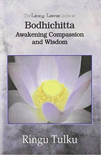 The Lazy Lama Looks at Bodhichitta: Awakening Compassion and Wisdom (Paperback)