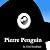 Pierre Penguin